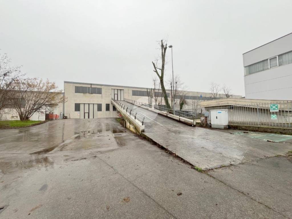 immagine annuncio 2 di 10