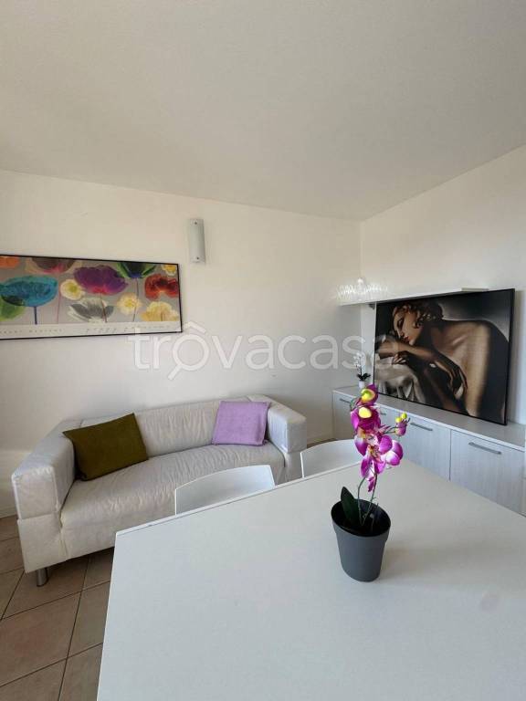 immagine annuncio 6 di 13