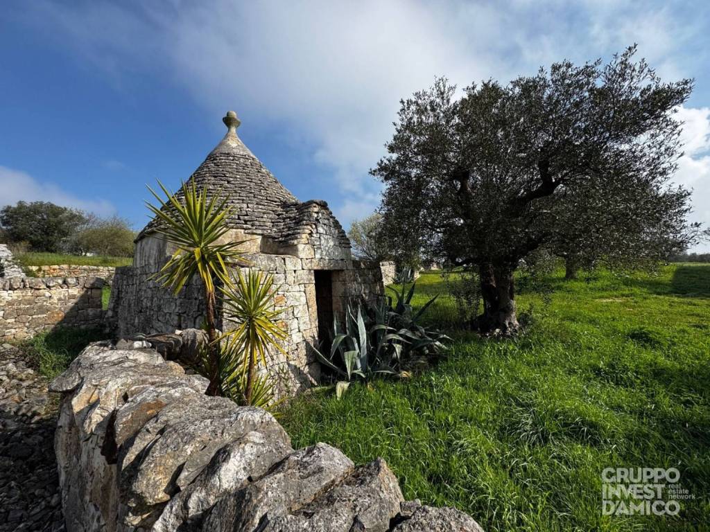 immagine annuncio 7 di 10