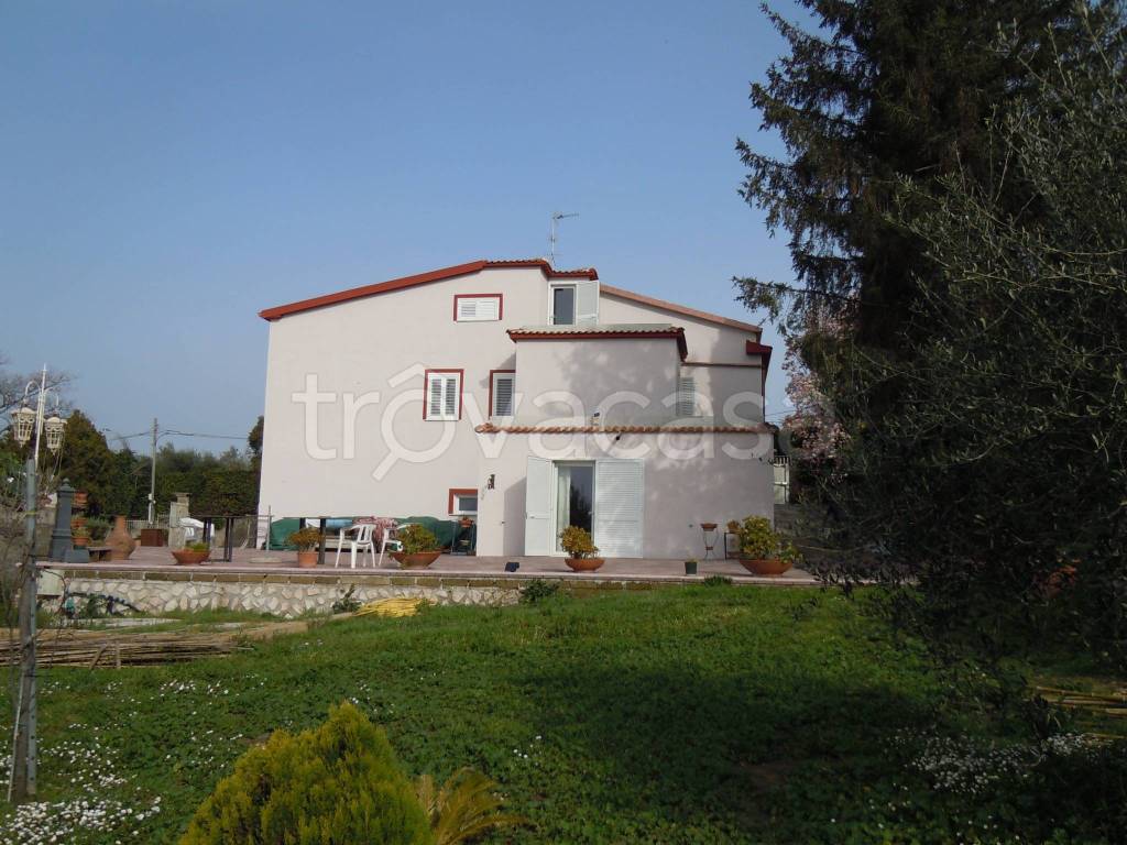 immagine annuncio 3 di 12