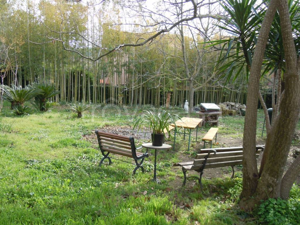 immagine annuncio 4 di 12