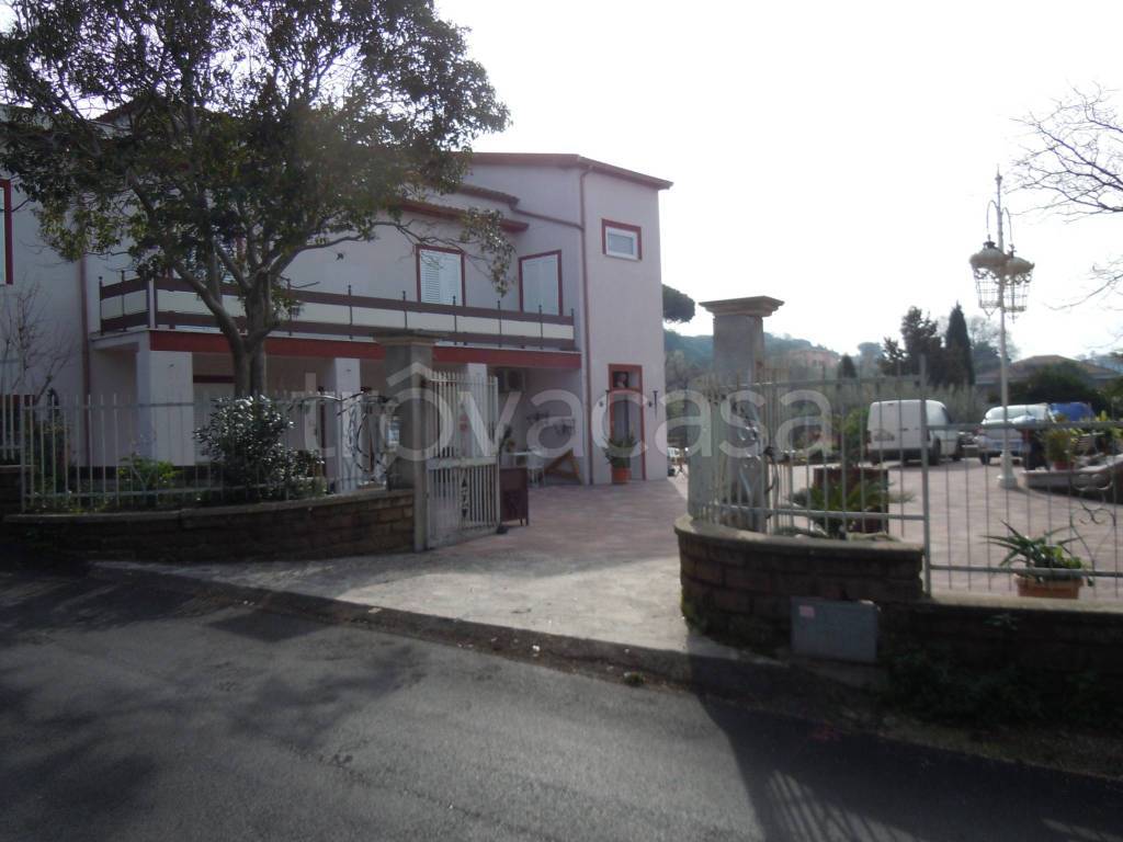 immagine annuncio 5 di 12