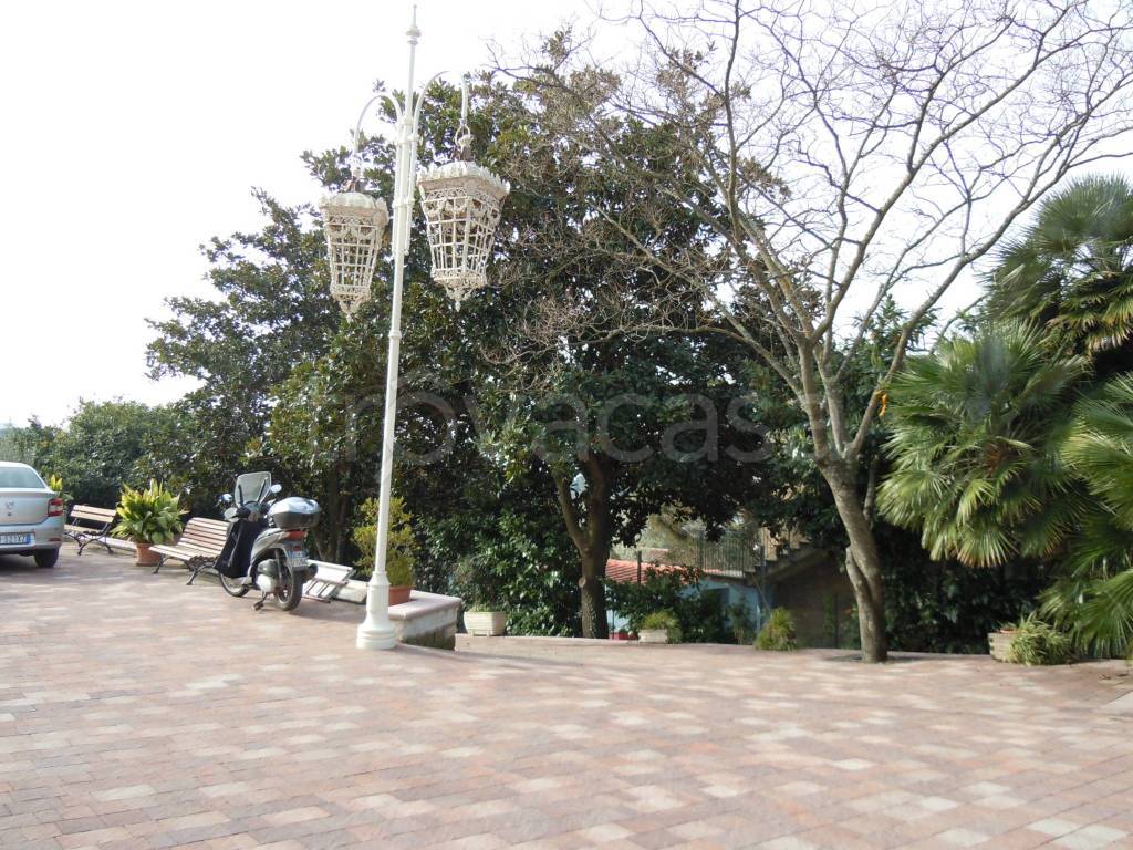 immagine annuncio 6 di 12