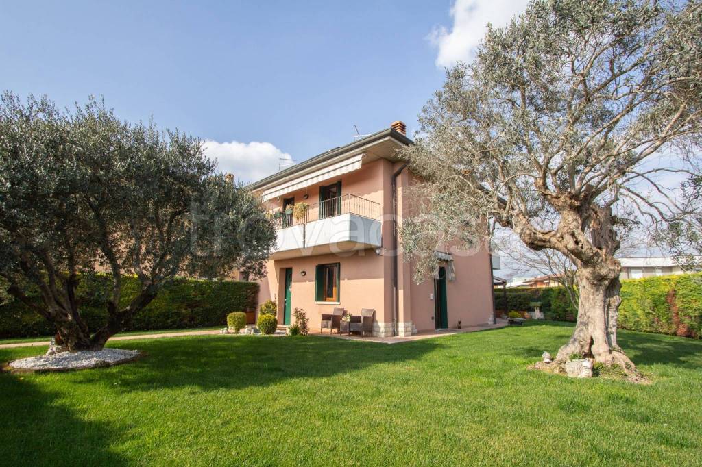 immagine annuncio 3 di 15