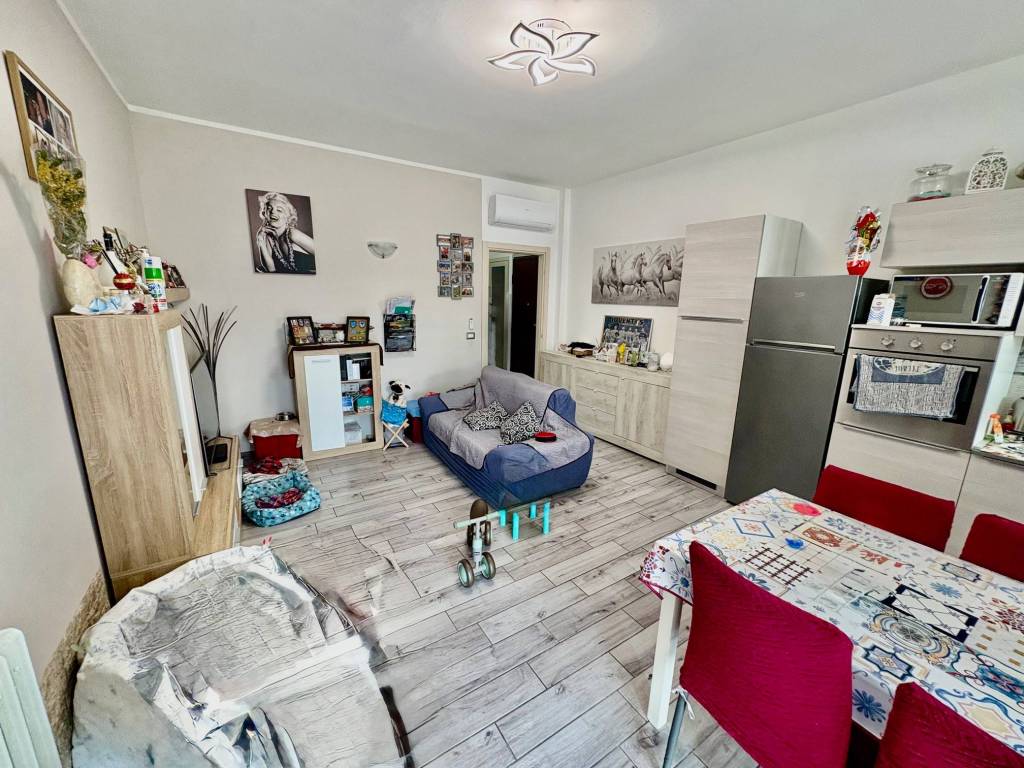 immagine annuncio 3 di 15