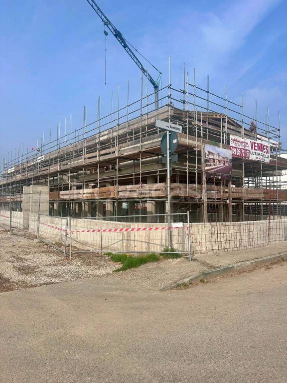 immagine annuncio 3 di 14