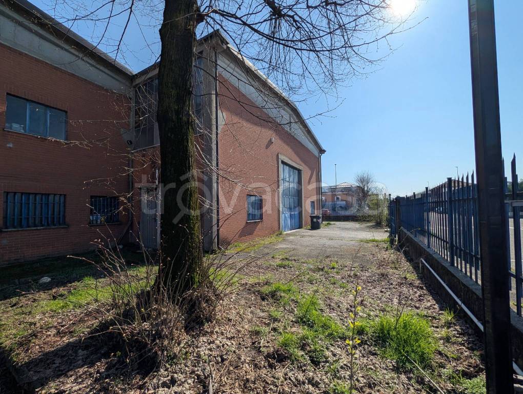 immagine annuncio 1 di 15