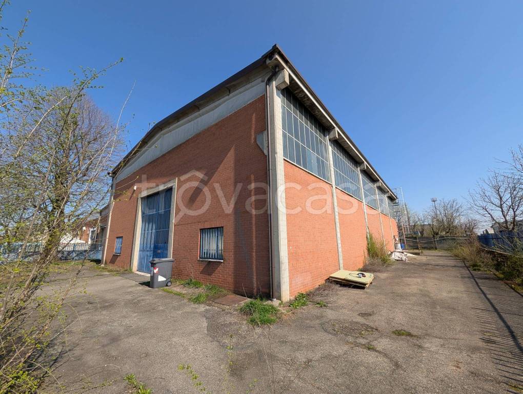 immagine annuncio 4 di 15