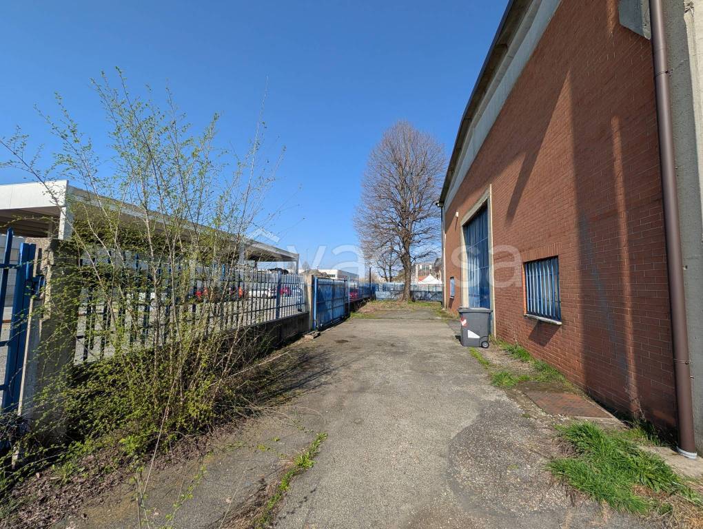 immagine annuncio 5 di 15