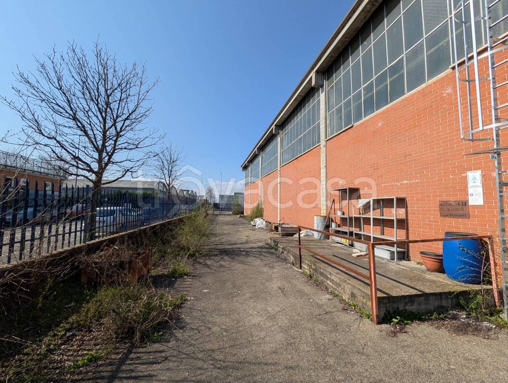 immagine annuncio 8 di 15