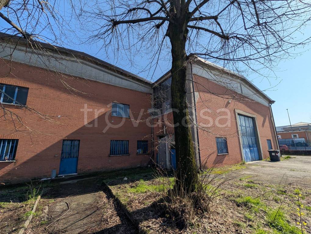 immagine annuncio 9 di 15