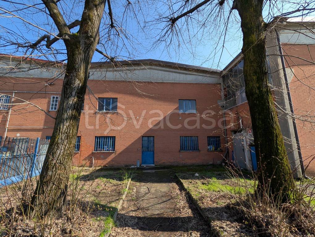 immagine annuncio 11 di 15