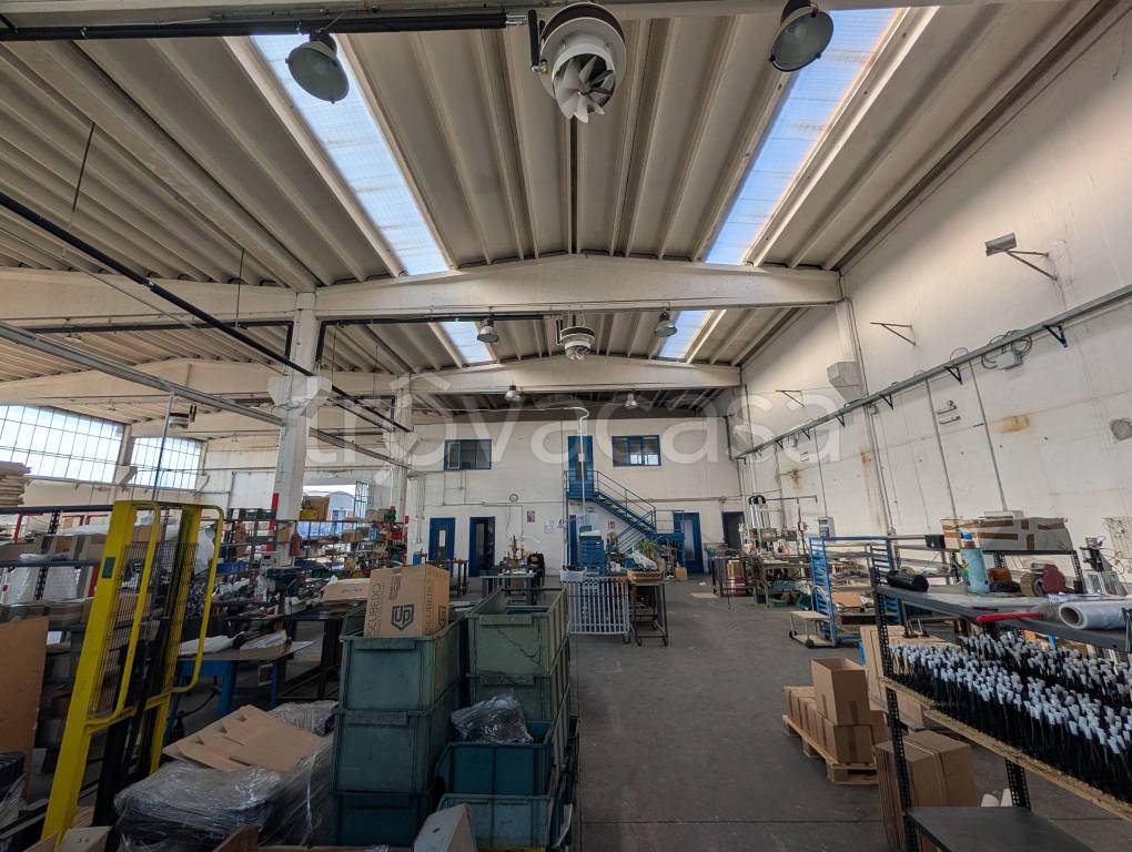 immagine annuncio 12 di 15