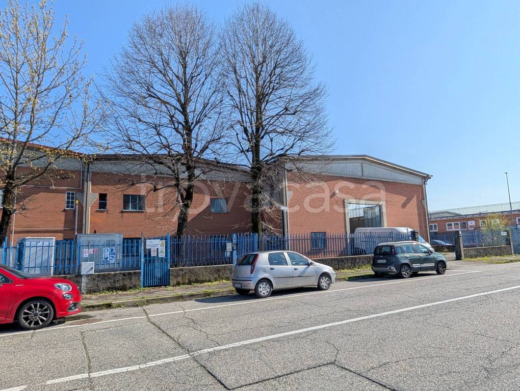 immagine annuncio 10 di 15