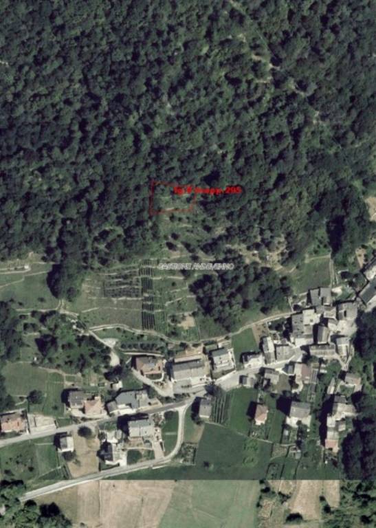 immagine annuncio 2 di 11