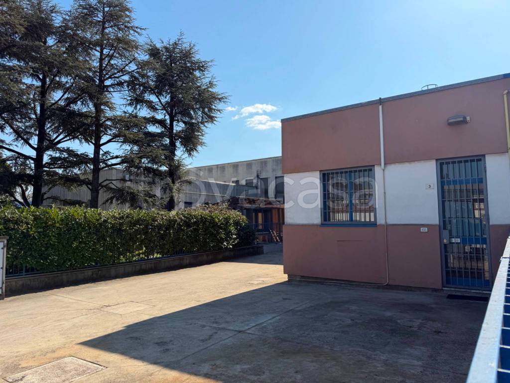 immagine annuncio 2 di 15