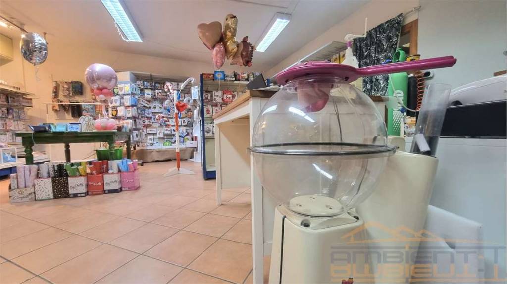 immagine annuncio 4 di 9