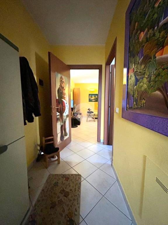 immagine annuncio 3 di 9