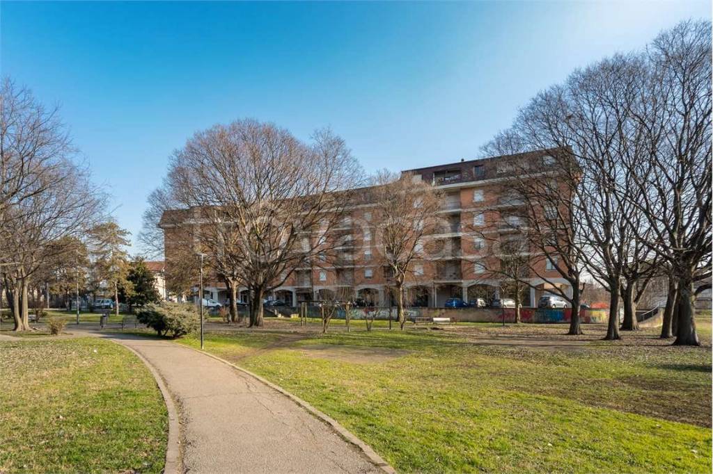 immagine annuncio 12 di 15