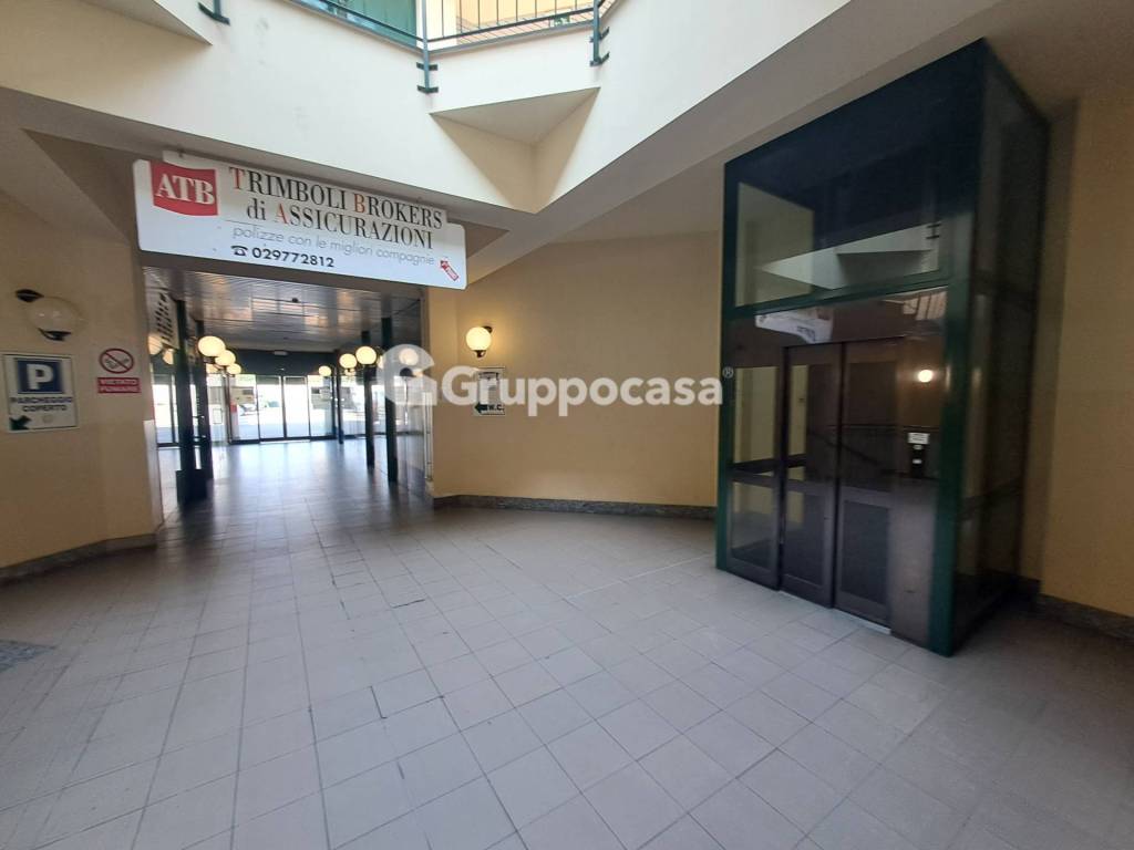 immagine annuncio 12 di 15