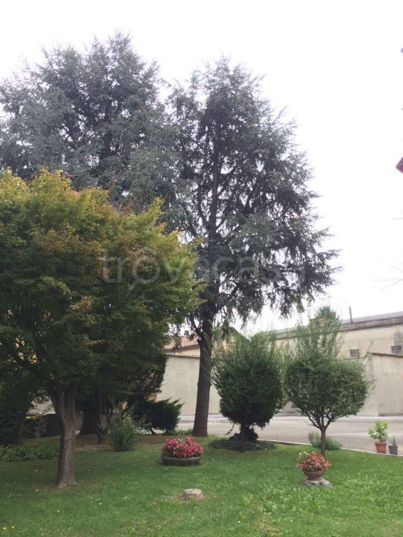 immagine annuncio 11 di 14