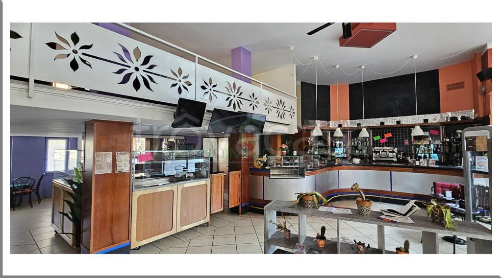 immagine annuncio 4 di 14