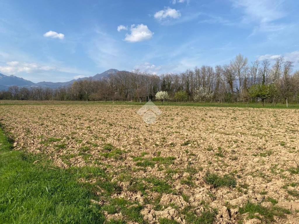 immagine annuncio 6 di 7