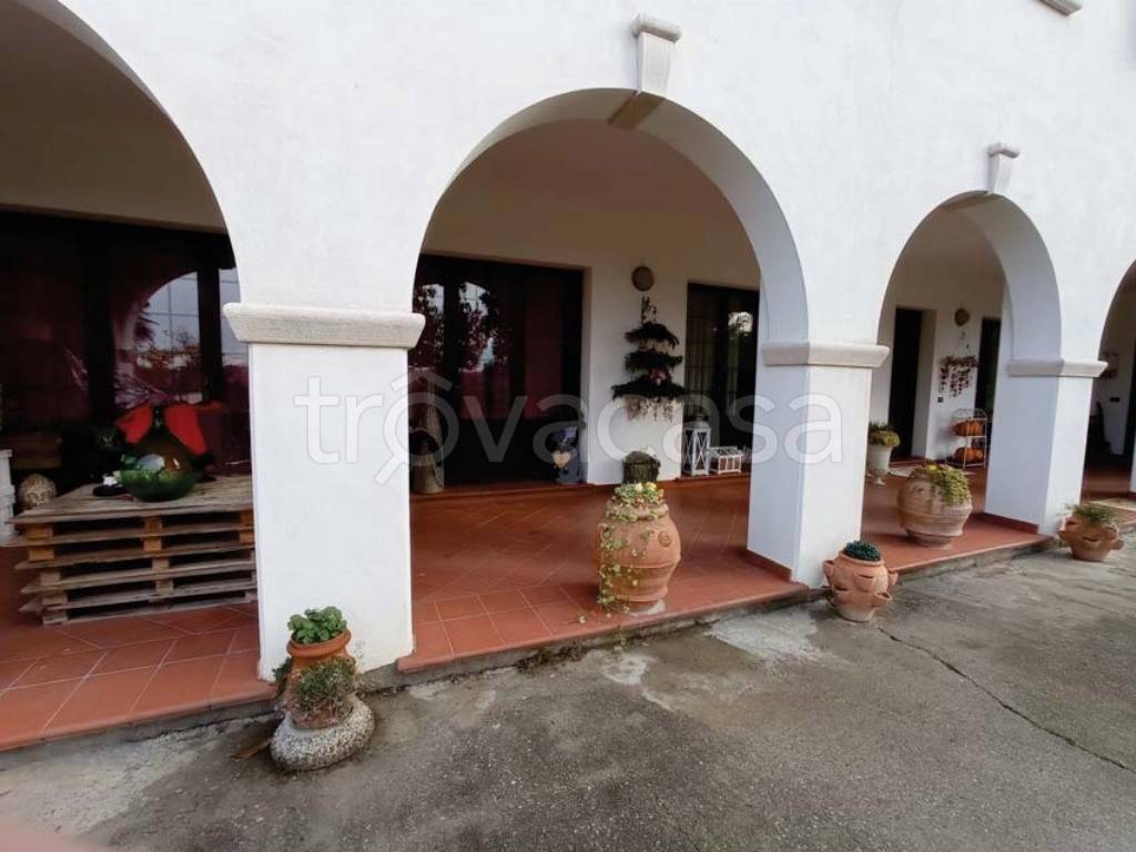 immagine annuncio 1 di 8