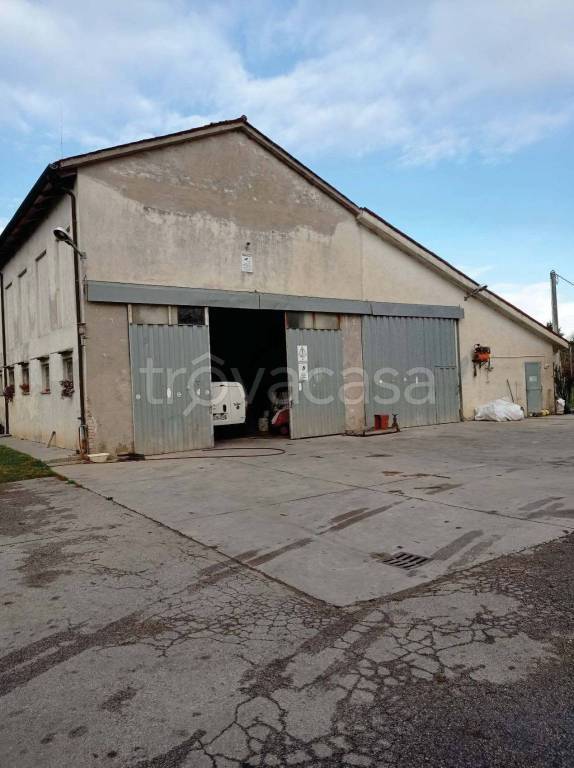 immagine annuncio 2 di 8