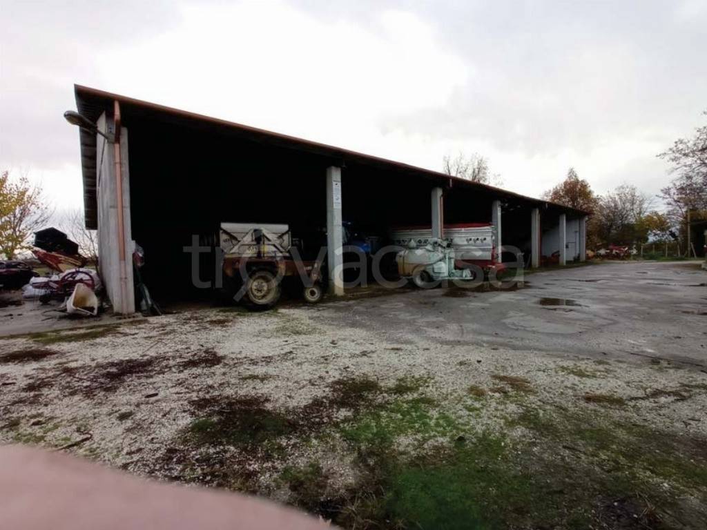 immagine annuncio 3 di 8