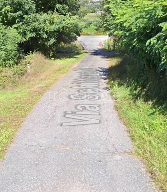 immagine annuncio 1 di 11