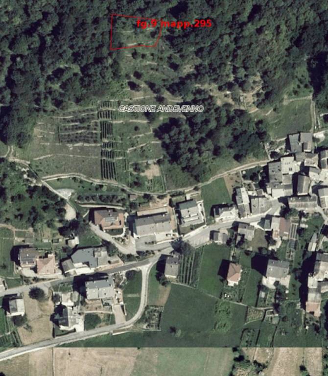 immagine annuncio 7 di 11