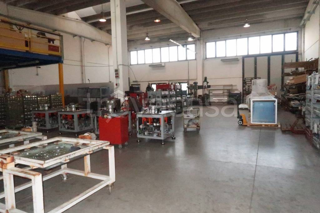 immagine annuncio 3 di 14