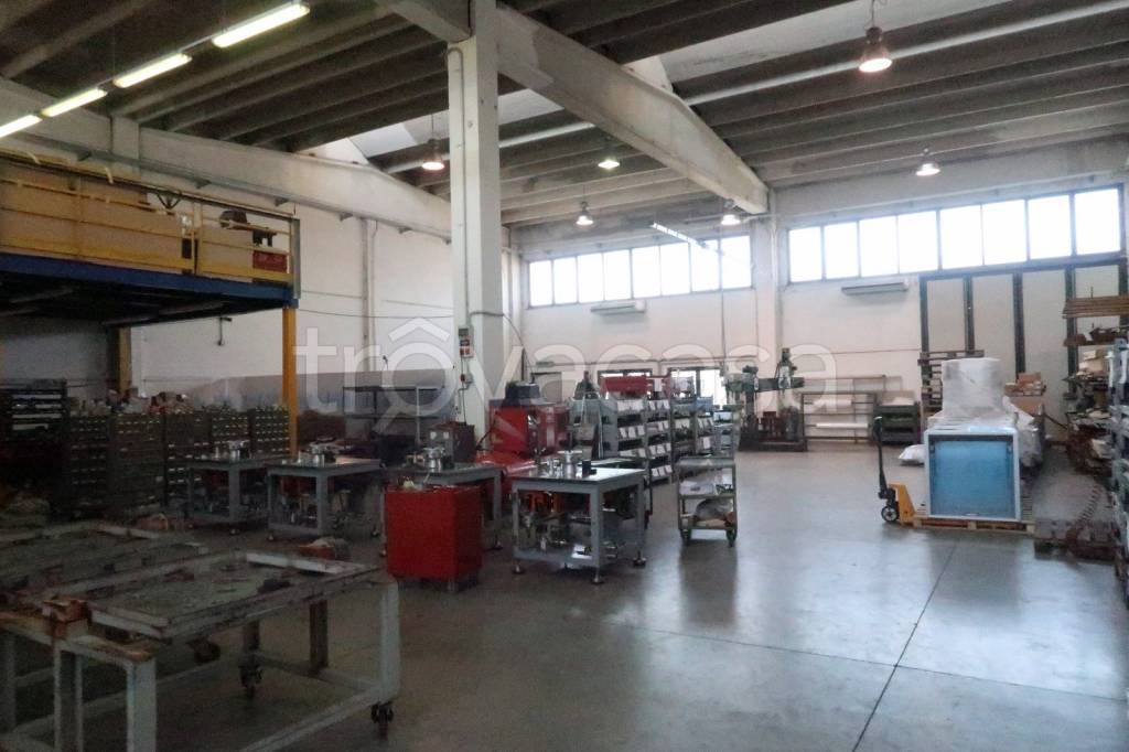 immagine annuncio 4 di 14