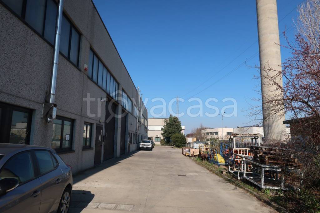 immagine annuncio 10 di 14