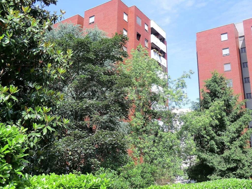 immagine annuncio 2 di 11