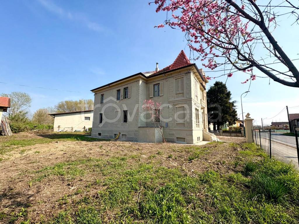 immagine annuncio 12 di 14