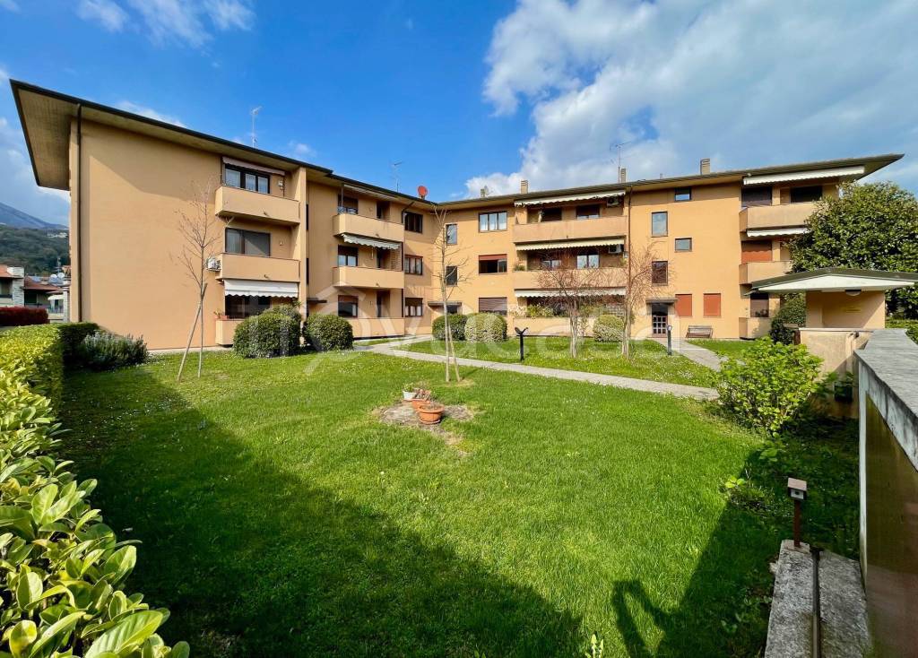 immagine annuncio 1 di 14