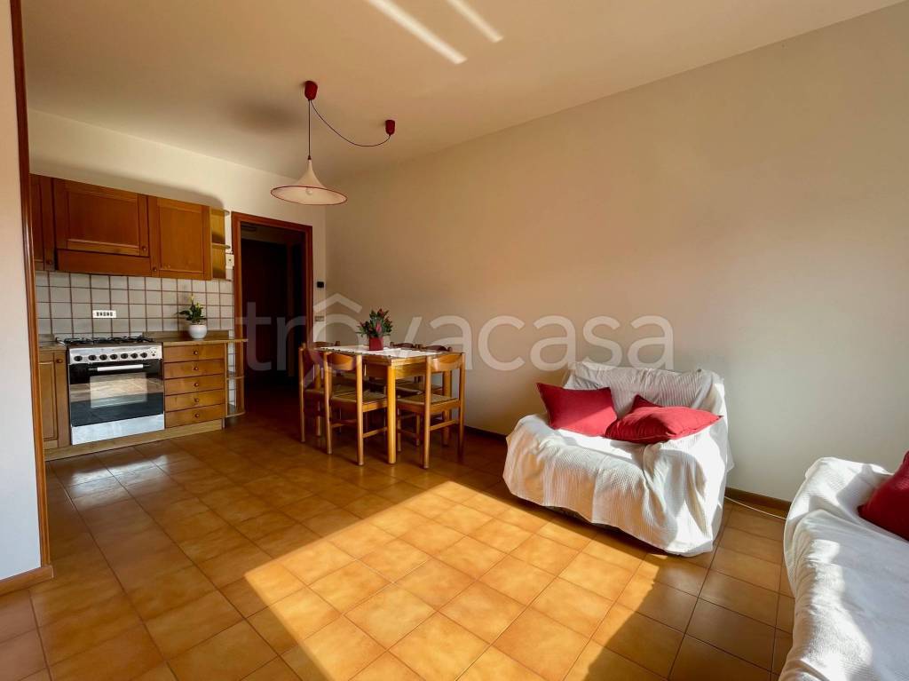 immagine annuncio 3 di 14