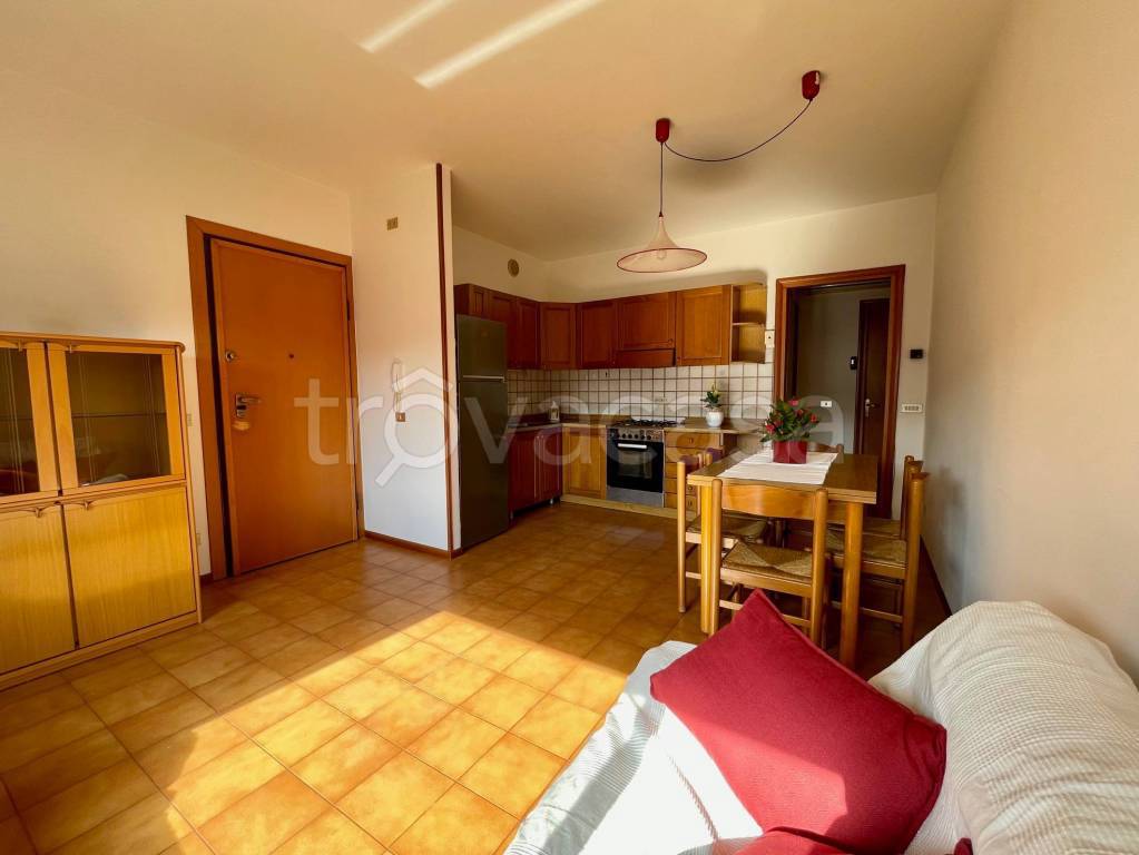 immagine annuncio 4 di 14