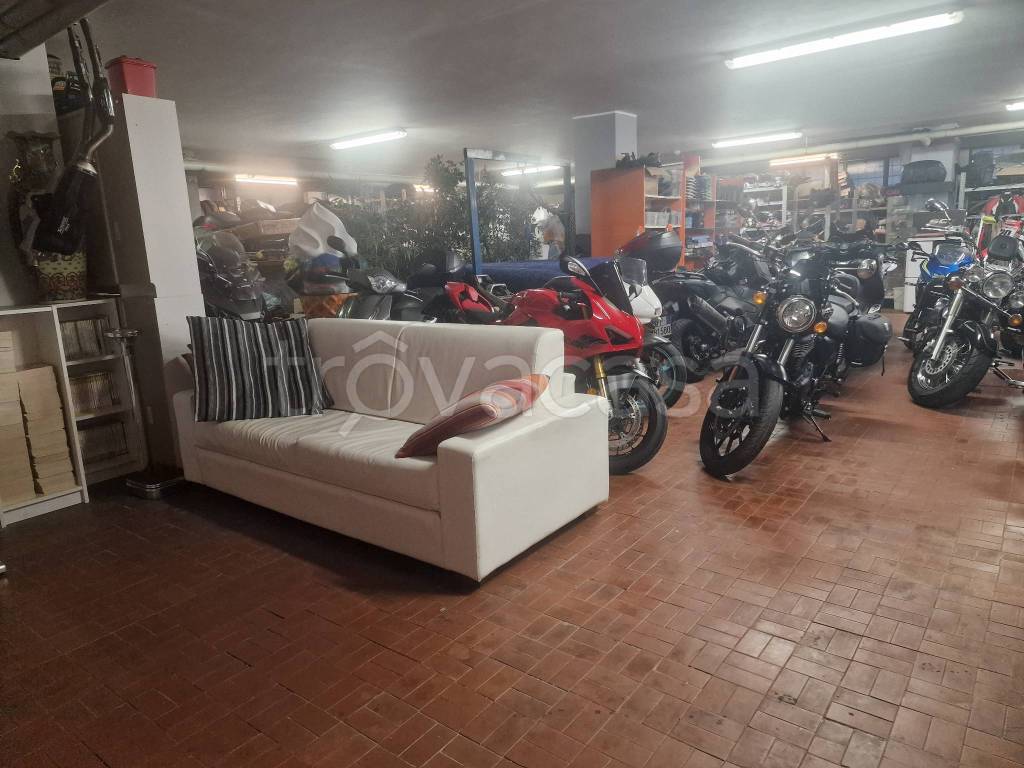 immagine annuncio 1 di 11