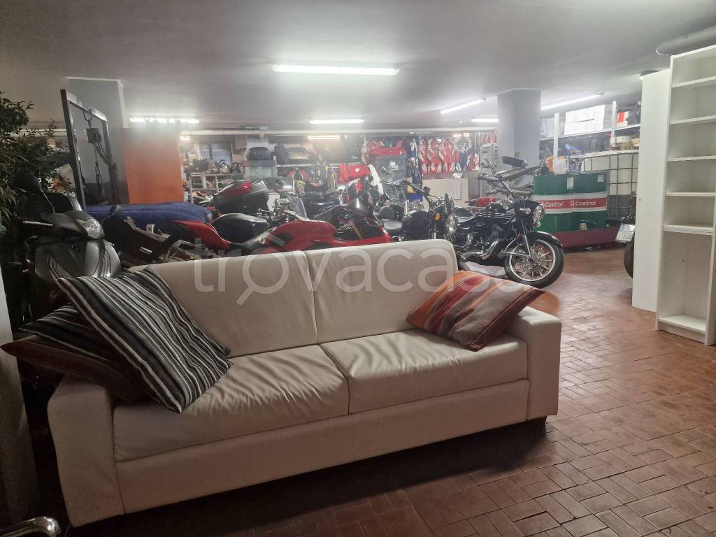 immagine annuncio 3 di 11