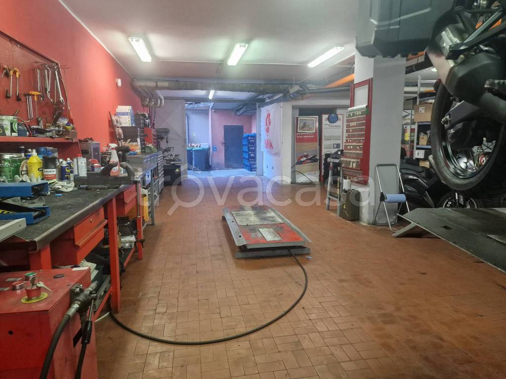 immagine annuncio 5 di 11