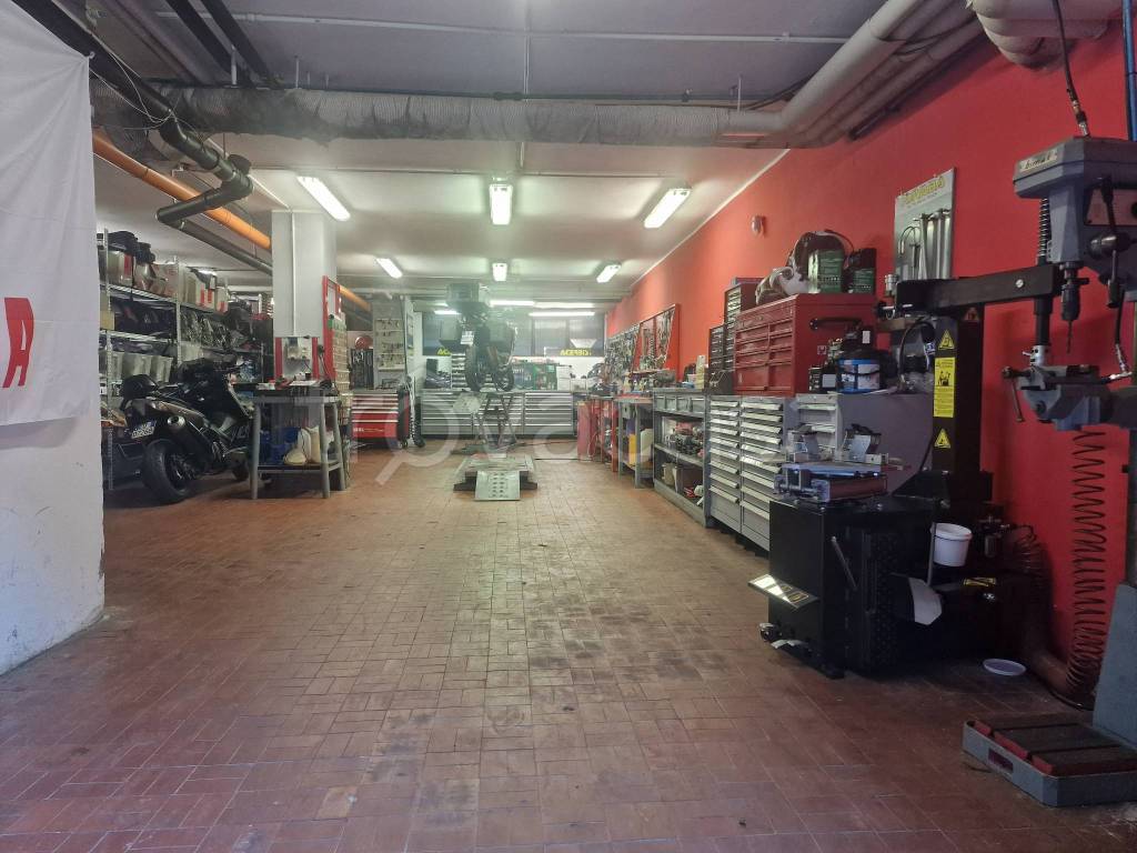 immagine annuncio 8 di 11