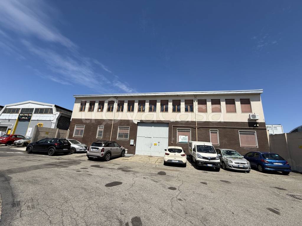 immagine annuncio 3 di 12