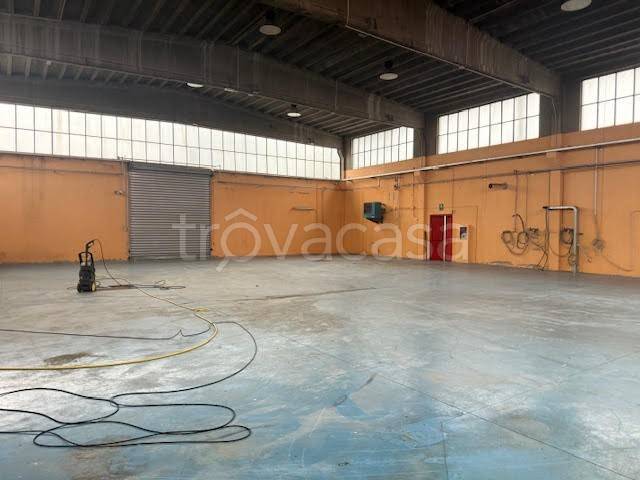 immagine annuncio 5 di 12