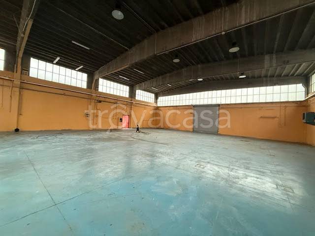 immagine annuncio 8 di 12