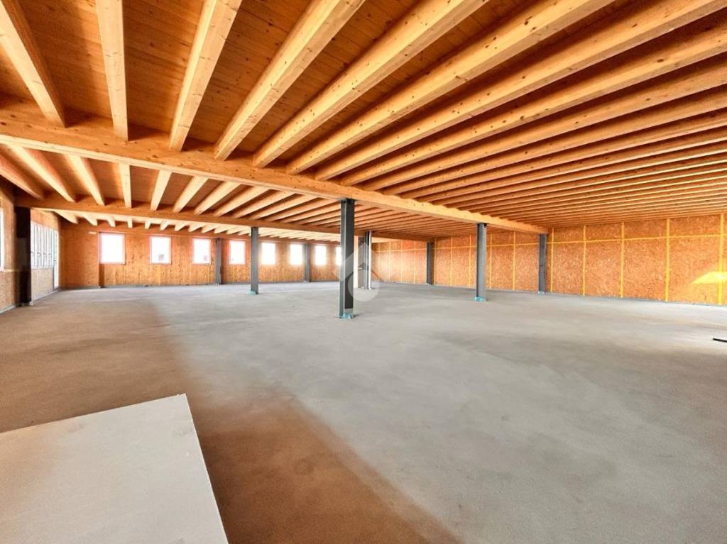 immagine annuncio 1 di 7