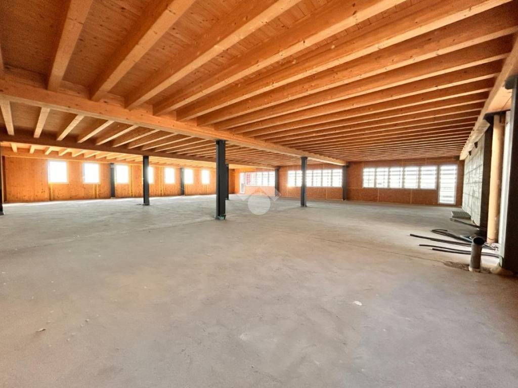 immagine annuncio 2 di 7