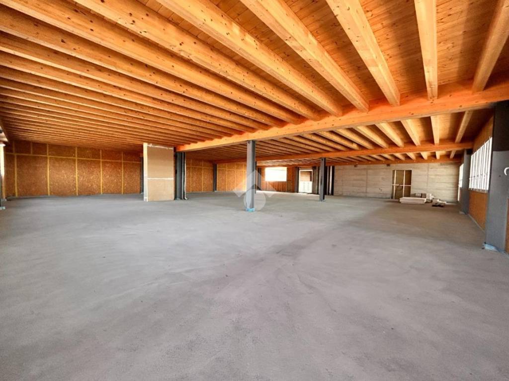 immagine annuncio 3 di 7